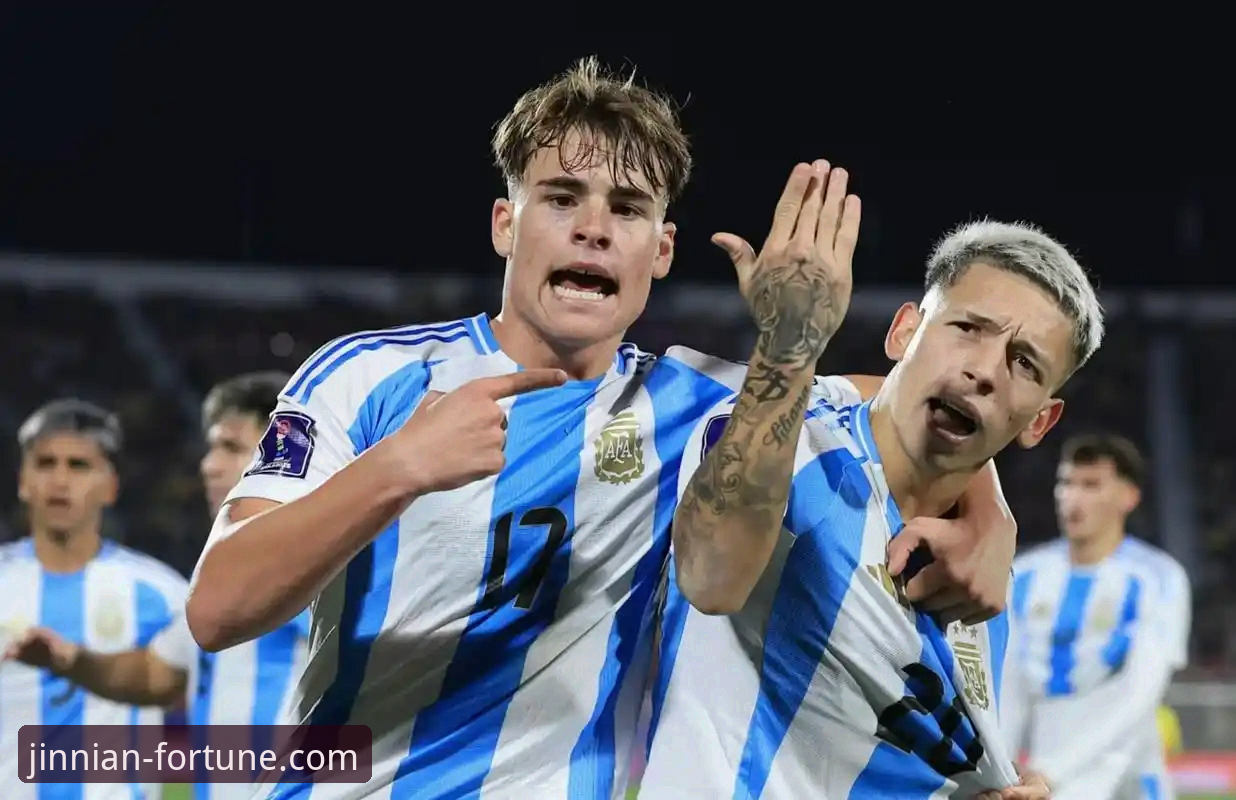 资深用户分享：从金年会体育看阿根廷新星伤退的遗憾与思考